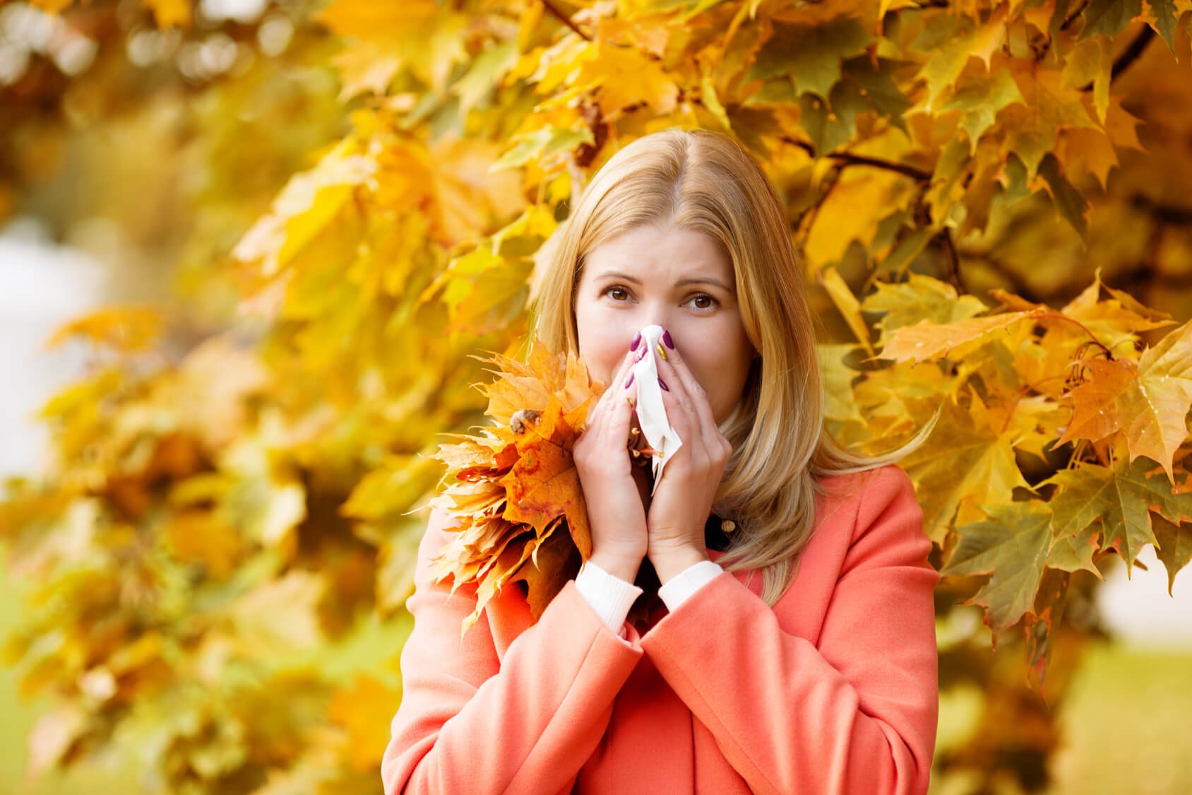 Fall Allergies are on Their Way All American Allergy Alternatives